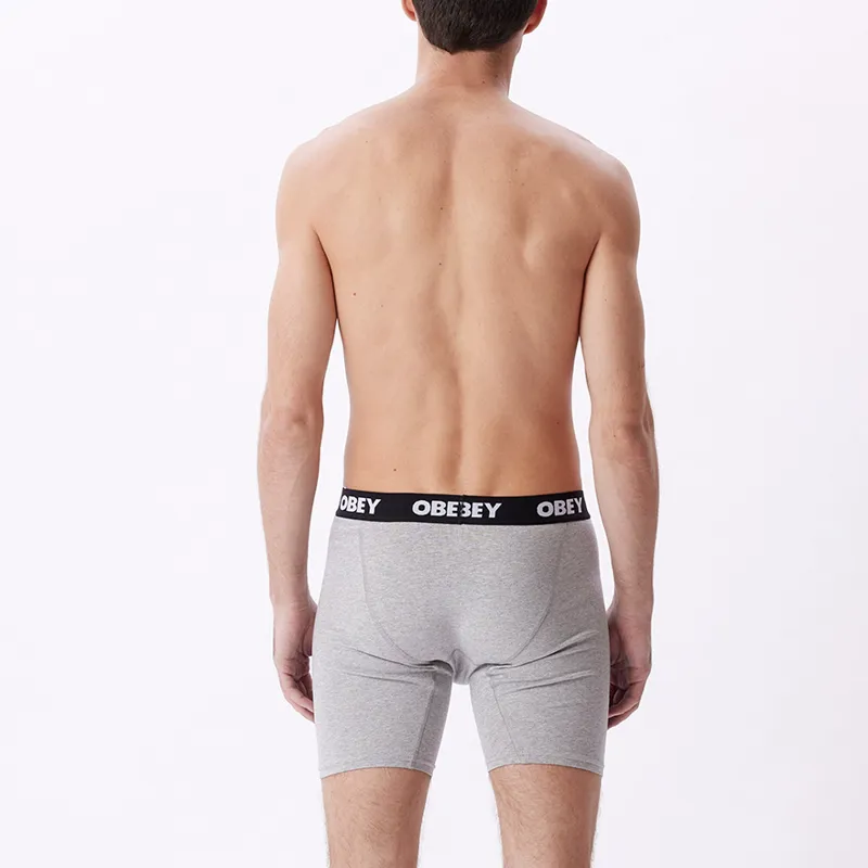 OBEY Established Works 2 Pack Boxers - Ash Grey-2